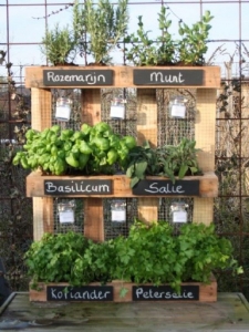 Kruiden pallet